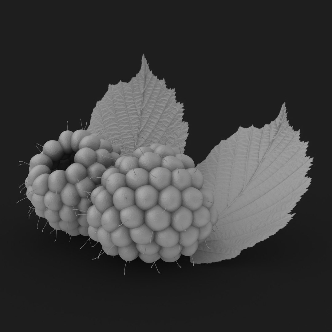 Realistic Raspberry Blue 3d 3ds