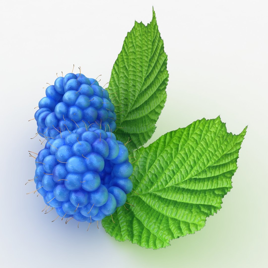 Realistic Raspberry Blue 3d 3ds