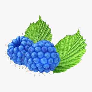 realistic raspberry blue 3d 3ds