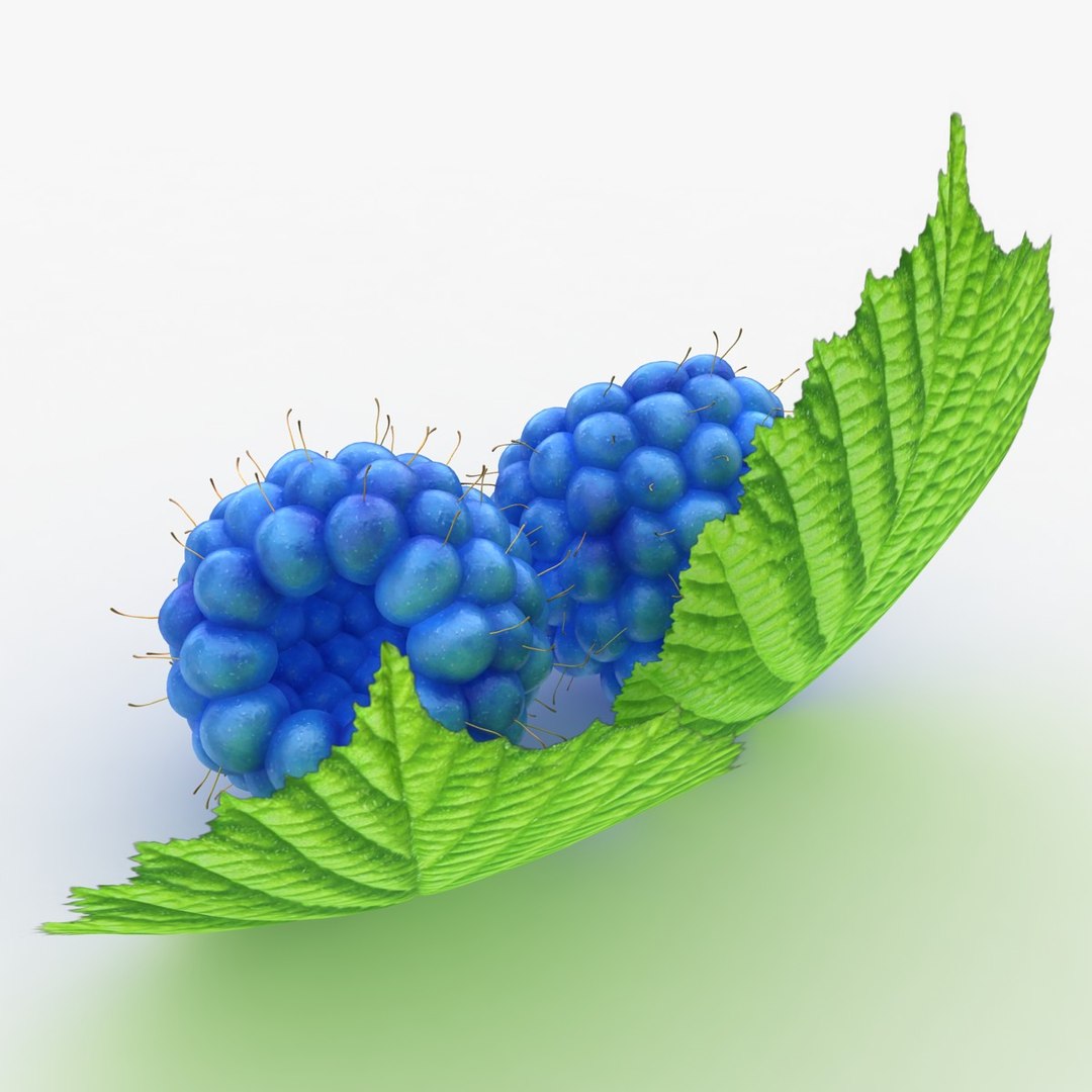 Realistic Raspberry Blue 3d 3ds