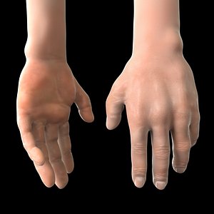 Realistic Rigged Male Hand 3D Model  SSS Skin  High Detail 3D model