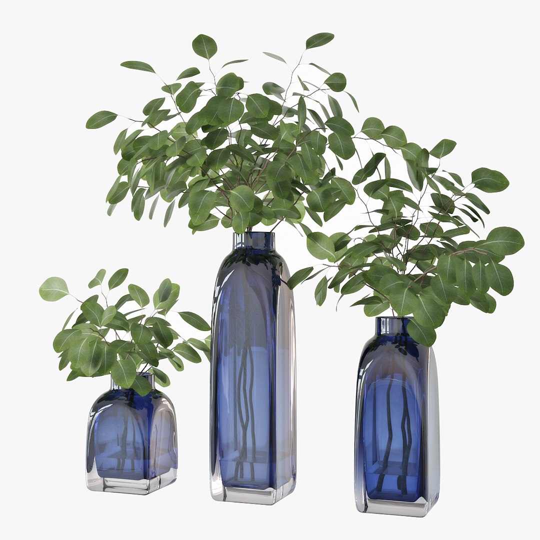 3D model eucalyptus silver dollar https://p.turbosquid.com/ts-thumb/MW/BEQR9V/7x7ggiRv/pr_01/jpg/1584445663/1920x1080/fit_q87/da745560f77b6ae204032d44bb0d3c5896b3075f/pr_01.jpg