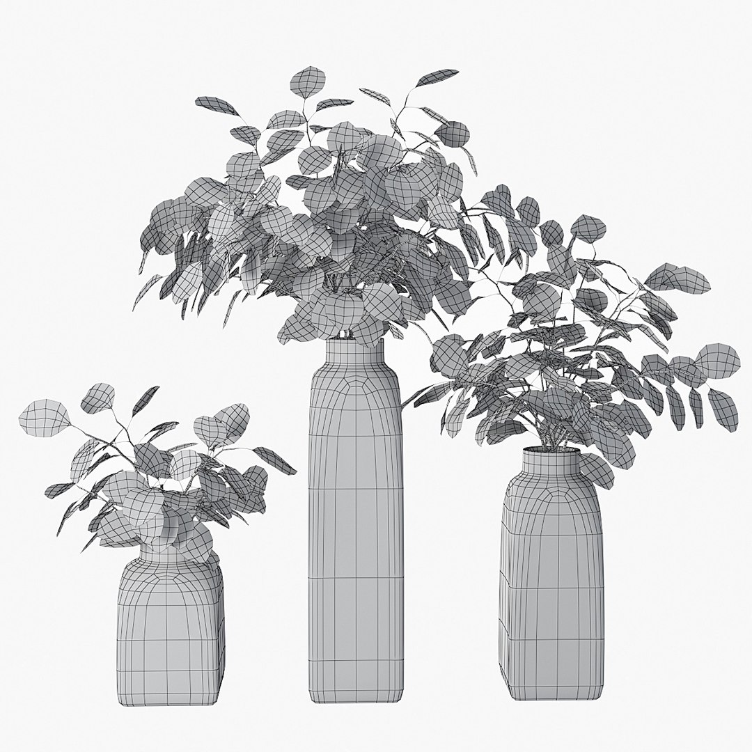 3D model eucalyptus silver dollar https://p.turbosquid.com/ts-thumb/MW/BEQR9V/8SJUXI3l/pr_00xw/jpg/1584445663/1920x1080/fit_q87/367949f04e4f5db9b620d3101939744bc943b43f/pr_00xw.jpg