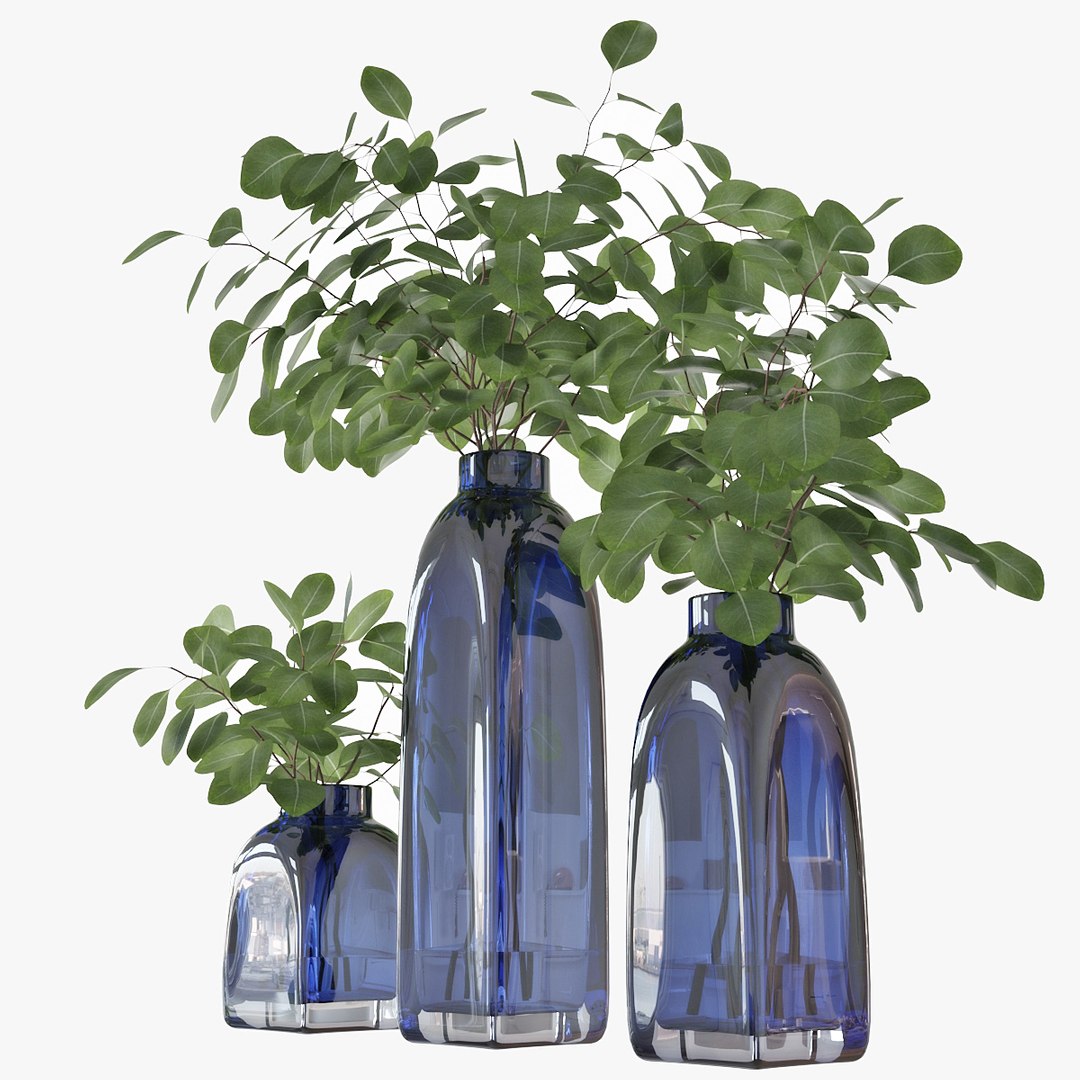 3D model eucalyptus silver dollar https://p.turbosquid.com/ts-thumb/MW/BEQR9V/IywD1yvL/pr_02/jpg/1584445663/1920x1080/fit_q87/514513ae1bdeb752423d38a68c5db07b9ba5fb5b/pr_02.jpg