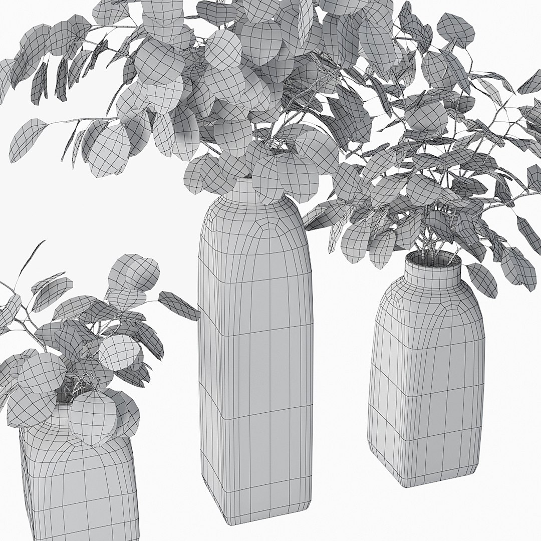 3D model eucalyptus silver dollar https://p.turbosquid.com/ts-thumb/MW/BEQR9V/VS2oUiGH/pr_06xw/jpg/1584445663/1920x1080/fit_q87/37da6ee49d0e46a5944d61537a08872a04d95a8c/pr_06xw.jpg