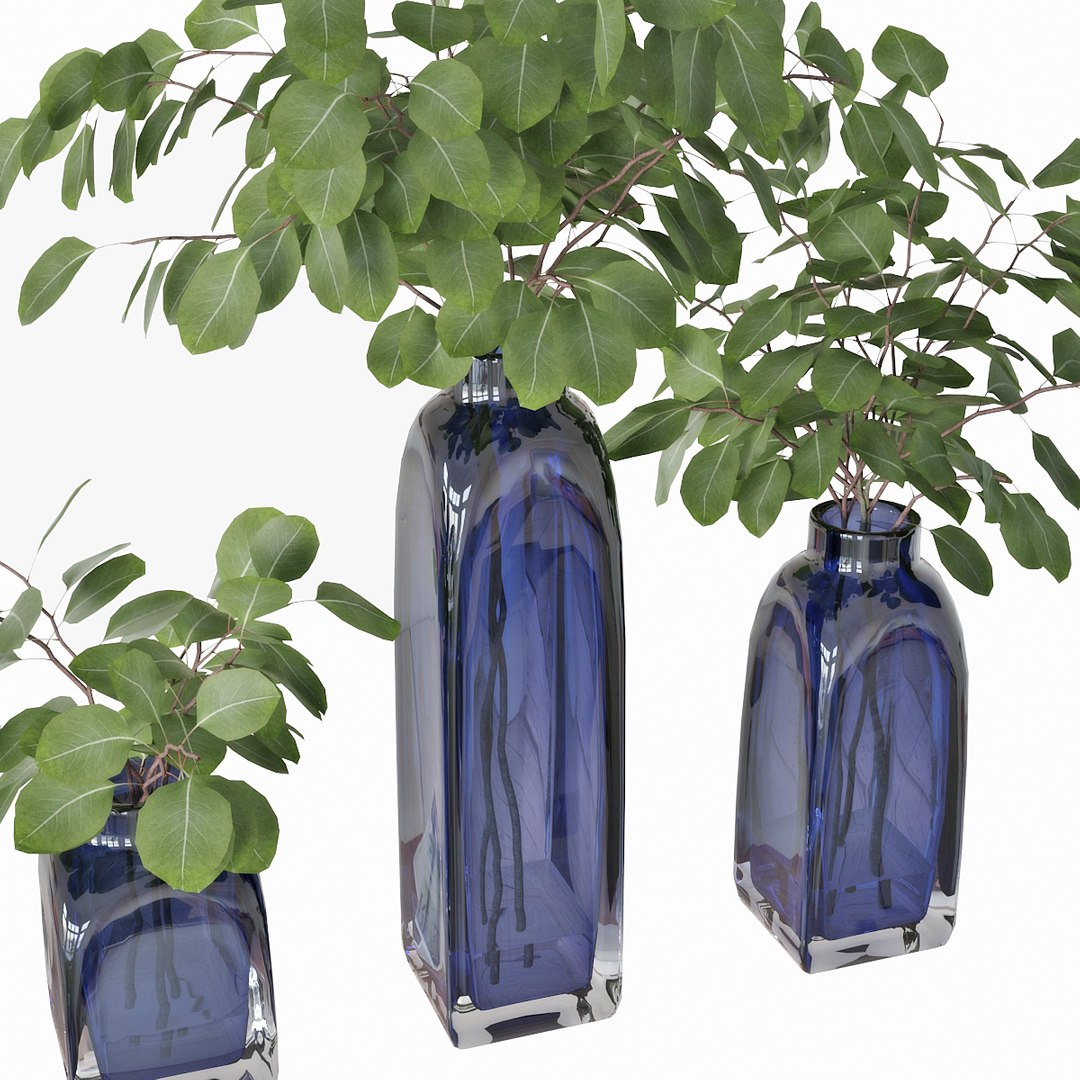 3D model eucalyptus silver dollar https://p.turbosquid.com/ts-thumb/MW/BEQR9V/ZUqf7iNM/pr_06x/jpg/1584445663/1920x1080/fit_q87/577a688b98db6554e09e7bb61bb2f0730f3d66e7/pr_06x.jpg