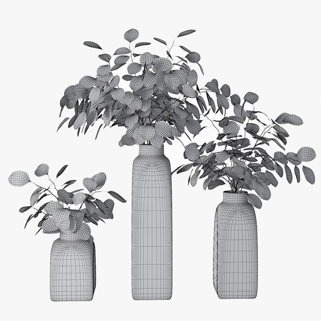 3D model eucalyptus silver dollar https://p.turbosquid.com/ts-thumb/MW/BEQR9V/cbWIhkSA/pr_00w/jpg/1584445663/1920x1080/fit_q87/3ce0ac6233f180b337c251a62947586d3e66f35e/pr_00w.jpg