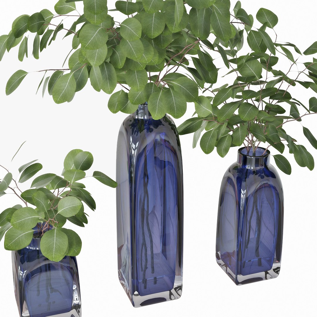 3D model eucalyptus silver dollar https://p.turbosquid.com/ts-thumb/MW/BEQR9V/dwnivSVm/pr_06/jpg/1584445663/1920x1080/fit_q87/6d398aedfe285d451741a1475f516c5bbbdf25e2/pr_06.jpg