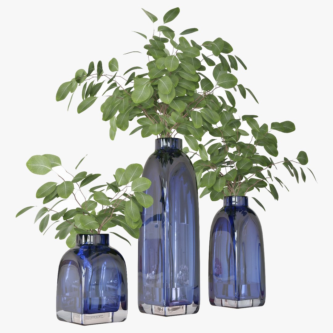 3D model eucalyptus silver dollar https://p.turbosquid.com/ts-thumb/MW/BEQR9V/tyxi3WLh/pr_05/jpg/1584445663/1920x1080/fit_q87/f39ac3ef4252f73ca1b52f33faae21a359472648/pr_05.jpg