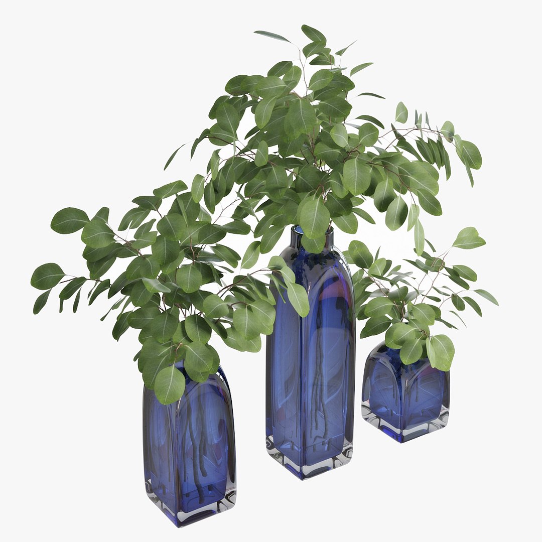 3D model eucalyptus silver dollar https://p.turbosquid.com/ts-thumb/MW/BEQR9V/uecO89u0/pr_03/jpg/1584445663/1920x1080/fit_q87/1614871e5dbd9301d025814d7e61f1912401e991/pr_03.jpg
