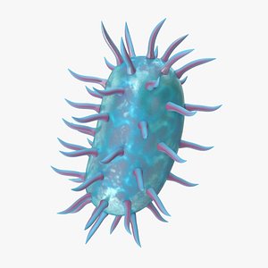 Bacterium 3D