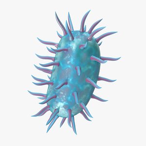 Bacterium
