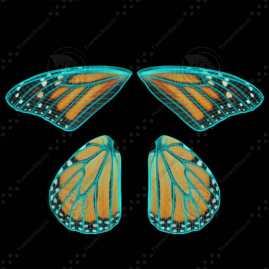 rigged common 3D https://p.turbosquid.com/ts-thumb/MW/gGv7bl/YHPBGJVr/wings_uv/jpg/1551578205/1920x1080/fit_q87/492debbcc0253845cfff453087a4db0e8b540b14/wings_uv.jpg