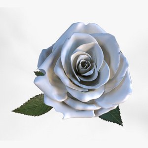 Single White Rose model