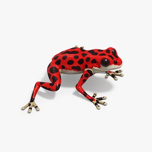 3D Red Oophaga model