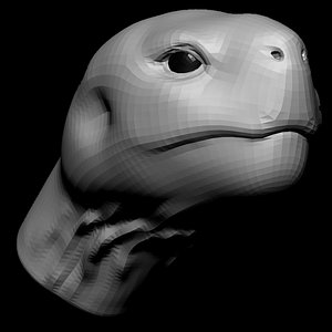 3D tortoise head base mesh