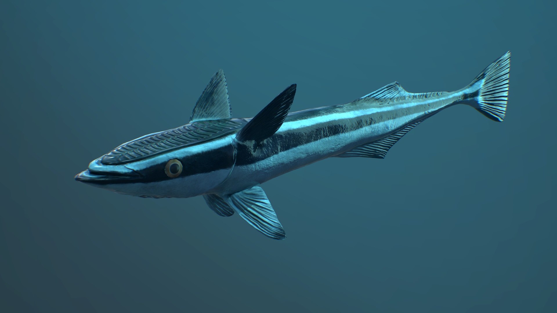 Remora Fish Low-poly 3D Model 3D Model - TurboSquid 1981817