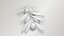 Black Olive Branch 3D