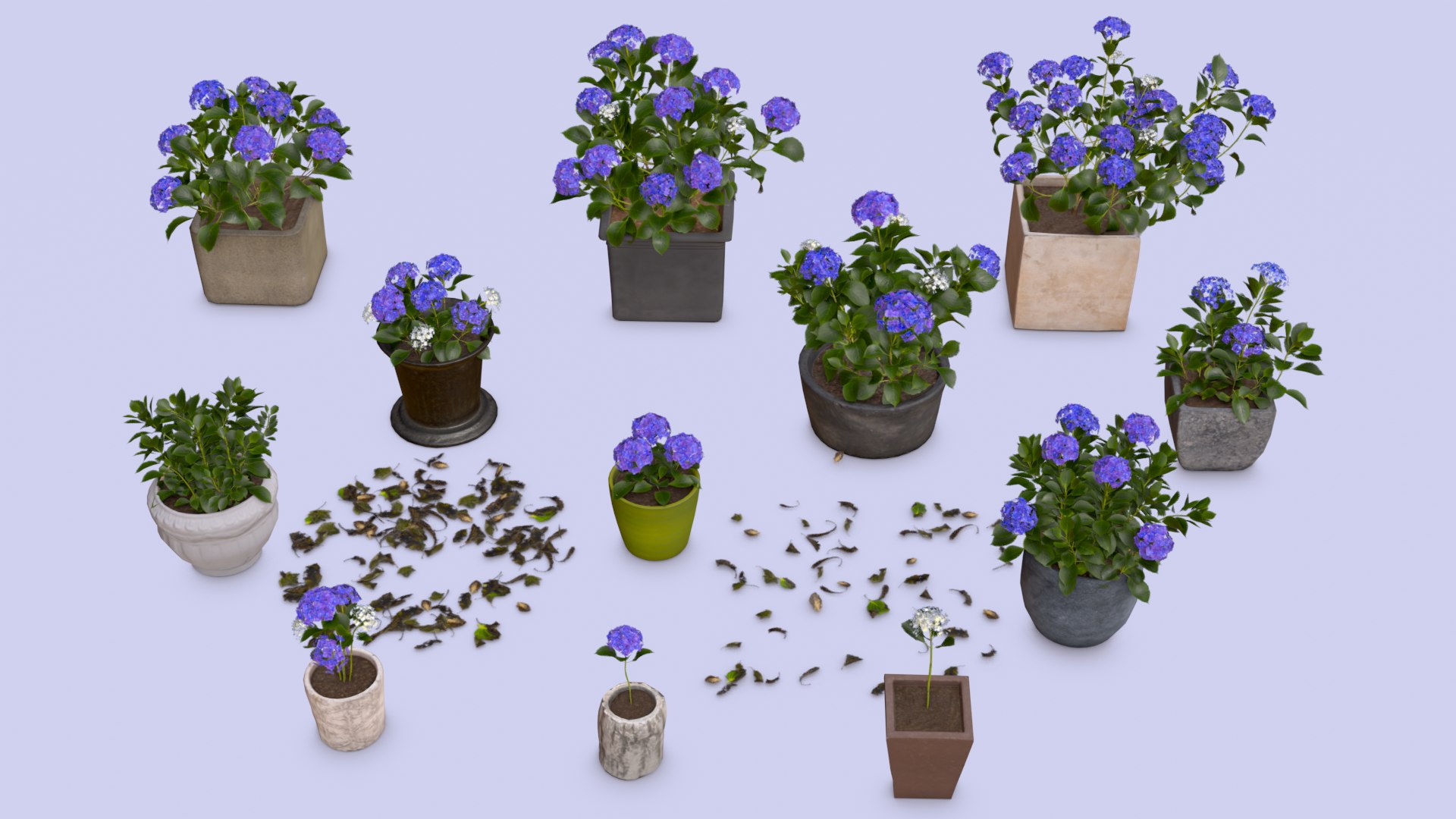 Flowers Bigleaf Hydrangea in Pots for Archivis Low-poly 3D model model https://p.turbosquid.com/ts-thumb/MX/ITNLiY/BY/render_001/png/1657263674/1920x1080/fit_q87/2f59ea55a1a3b9481f6f764d222223dcbcb5efc8/render_001.jpg