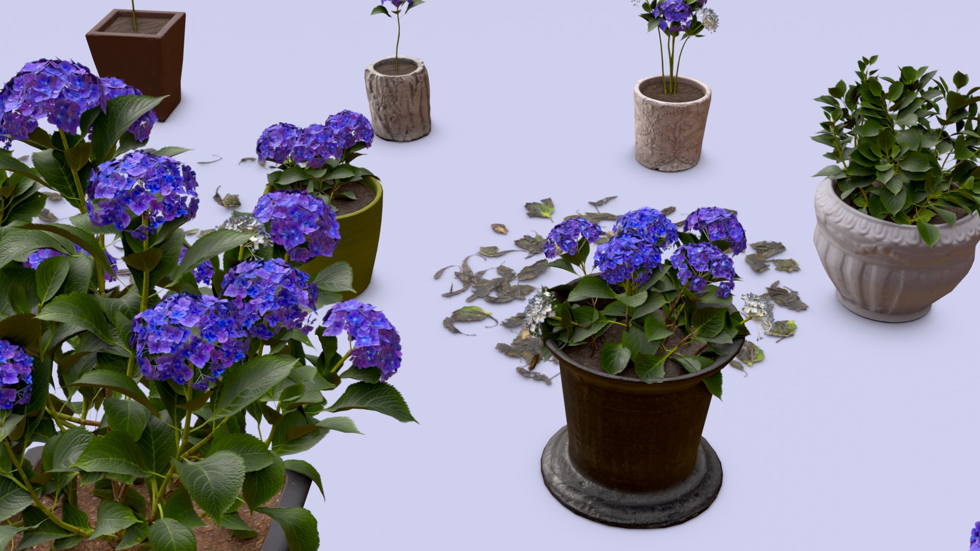 Flowers Bigleaf Hydrangea in Pots for Archivis Low-poly 3D model model https://p.turbosquid.com/ts-thumb/MX/ITNLiY/Vf/render_007/png/1657263677/1920x1080/fit_q87/acb7bc4a866d75ab4938545157862697fe3be733/render_007.jpg