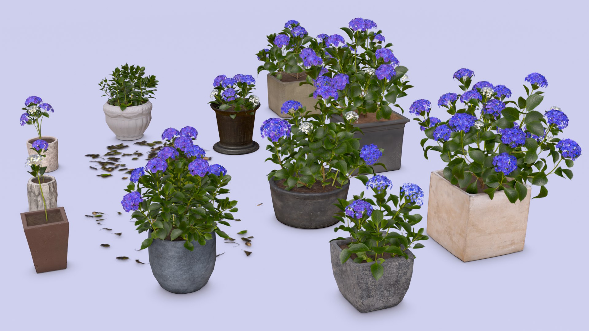 Flowers Bigleaf Hydrangea in Pots for Archivis Low-poly 3D model model https://p.turbosquid.com/ts-thumb/MX/ITNLiY/Zy/render_005/png/1657263675/1920x1080/fit_q87/80b112fc508065beb83cbff3929786d73294eb86/render_005.jpg