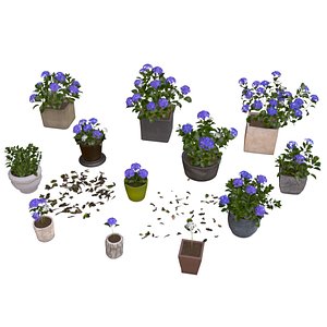 Flowers Bigleaf Hydrangea in Pots for Archivis Low-poly 3D model model