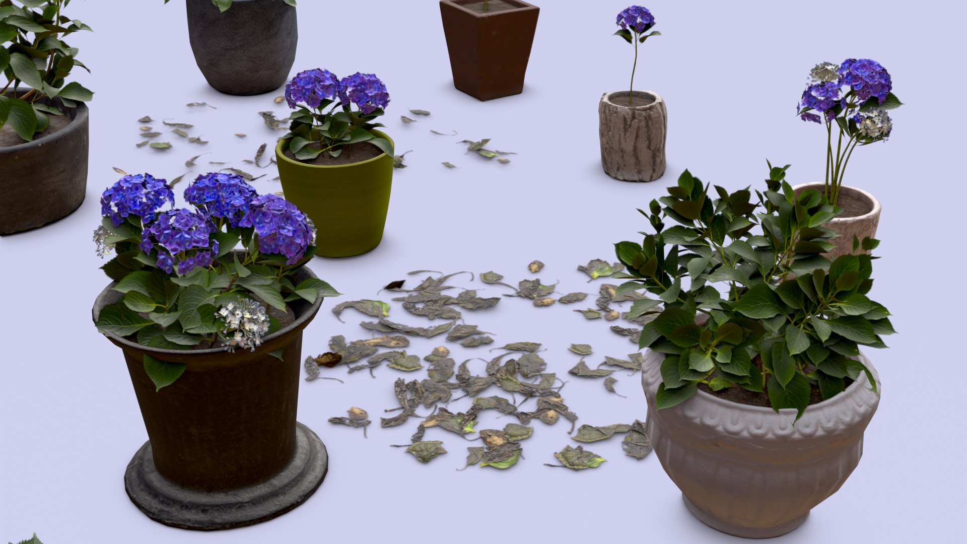 Flowers Bigleaf Hydrangea in Pots for Archivis Low-poly 3D model model https://p.turbosquid.com/ts-thumb/MX/ITNLiY/vu/render_008/png/1657263677/1920x1080/fit_q87/7e9aabf8dc21f2e7bc5d283d3a97b5ade1746ca8/render_008.jpg