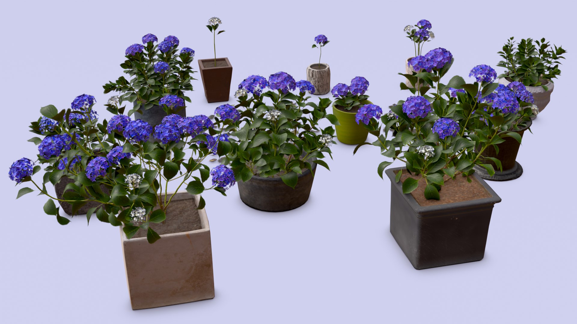 Flowers Bigleaf Hydrangea in Pots for Archivis Low-poly 3D model model https://p.turbosquid.com/ts-thumb/MX/ITNLiY/zF/render_004/png/1657263675/1920x1080/fit_q87/f05bf614648763cff8a8ac2c33e2fafc5e290070/render_004.jpg