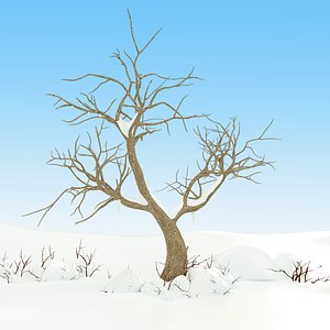 Snow Tree Winter