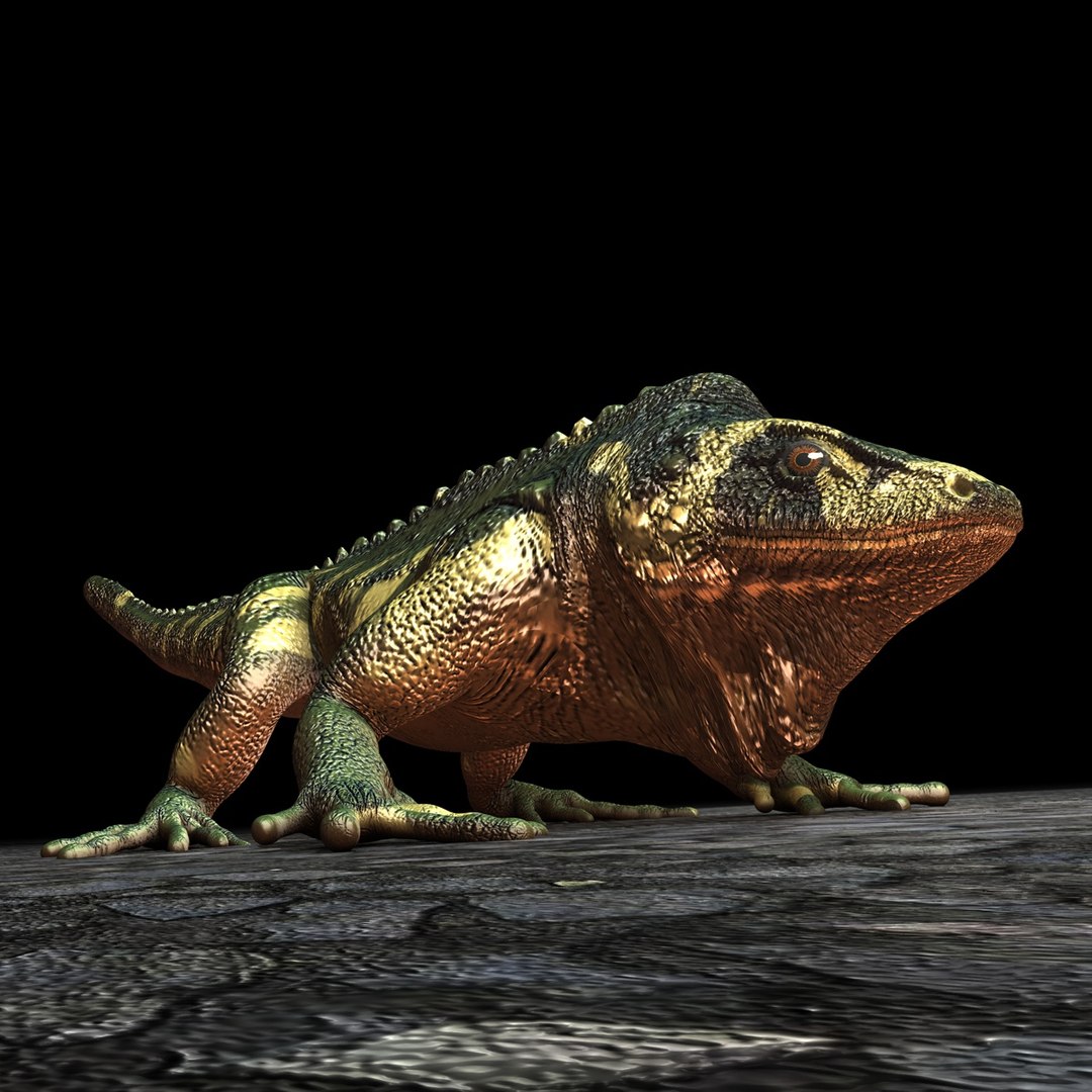 3d model leguan zbrush 3