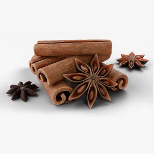 3D Cinnamon and Anise species asset model