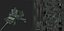 Bofors40mm L70