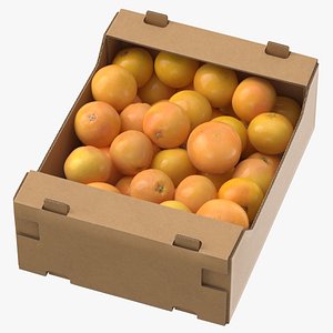 cardboard display box grapefruits 3D model