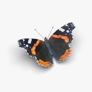 Low polygon butterfly - Vanessa atalanta 3D model