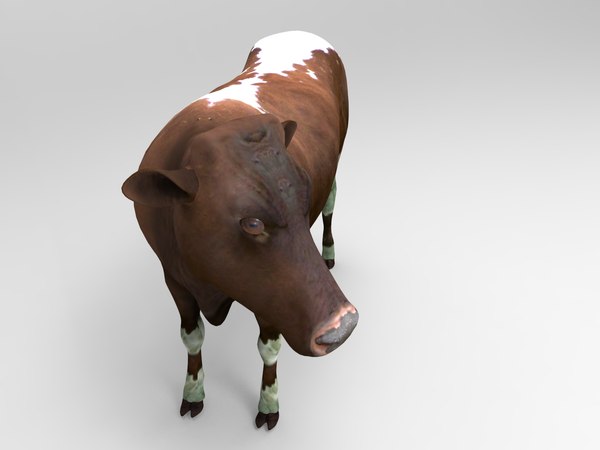 3D cow rigged model - TurboSquid 1199273