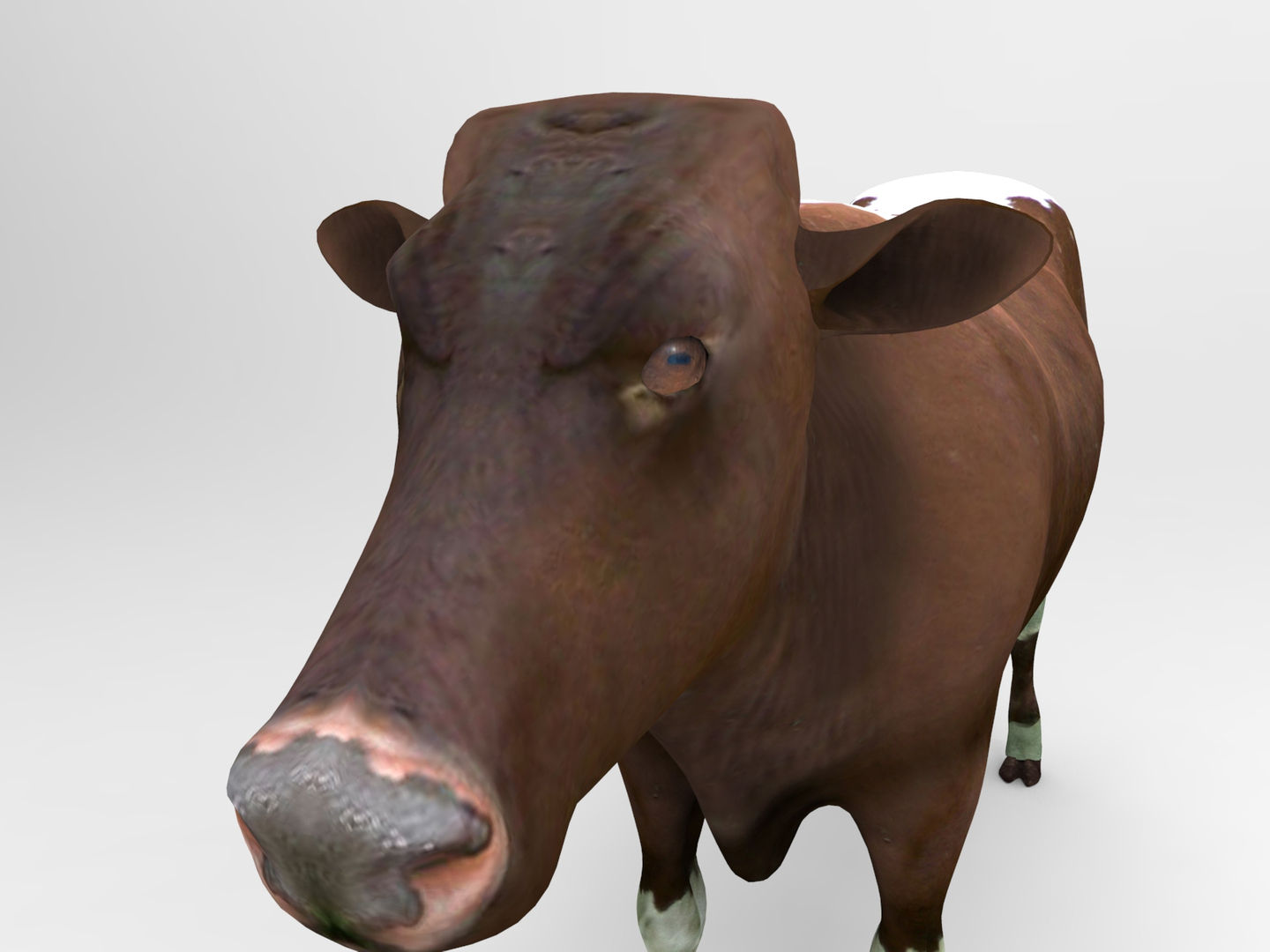 3D cow rigged model - TurboSquid 1199273