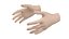 Female Hand Base Mesh 03