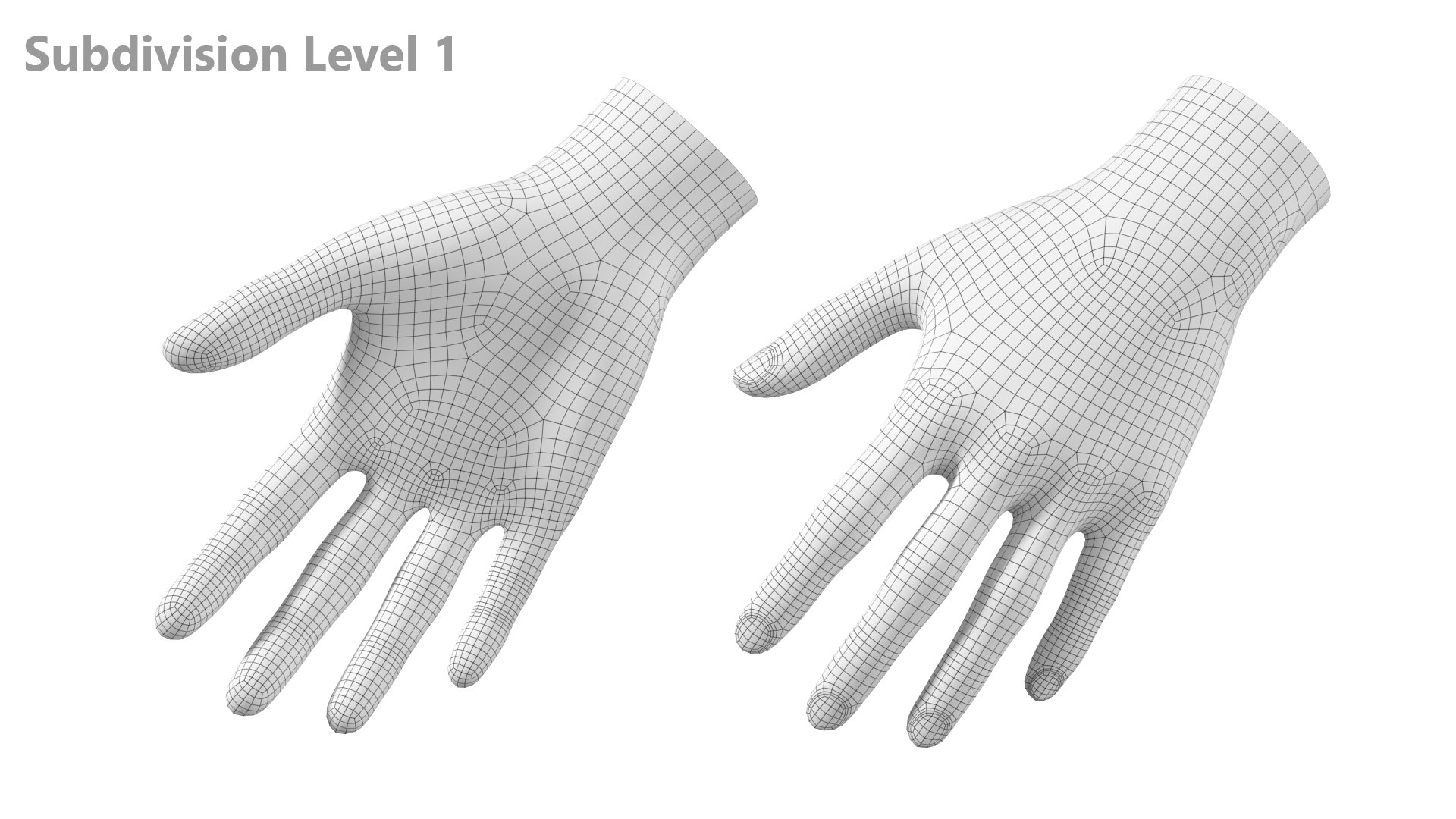 3D model Female Hand Base Mesh 03 https://p.turbosquid.com/ts-thumb/MX/jtkigY/TN/14wire1/png/1706375573/1920x1080/fit_q87/765223f5d7cc79d575c0117115a2f904edd15280/14wire1.jpg