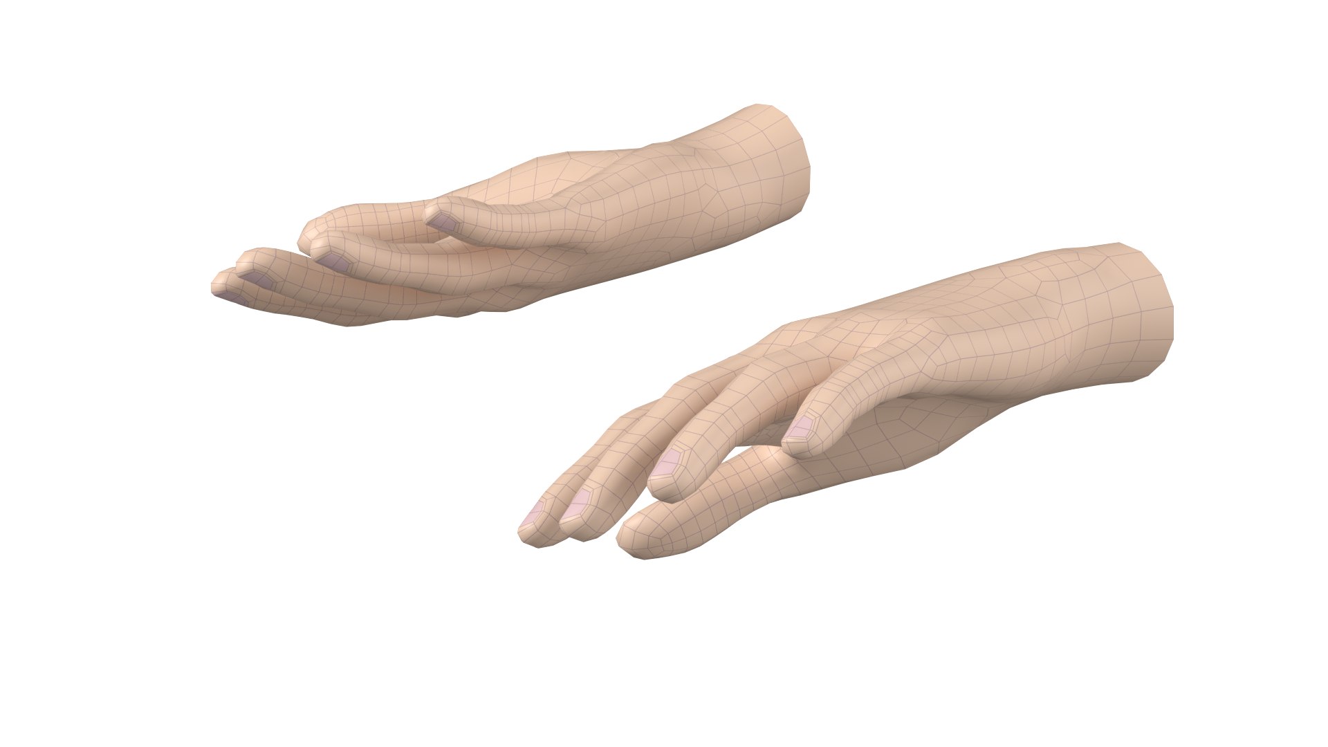 3D model Female Hand Base Mesh 03 https://p.turbosquid.com/ts-thumb/MX/jtkigY/Tm/z09/png/1706375570/1920x1080/fit_q87/ae99527ddea52ca45f5018ebd4c71a2aa49e7a7b/z09.jpg