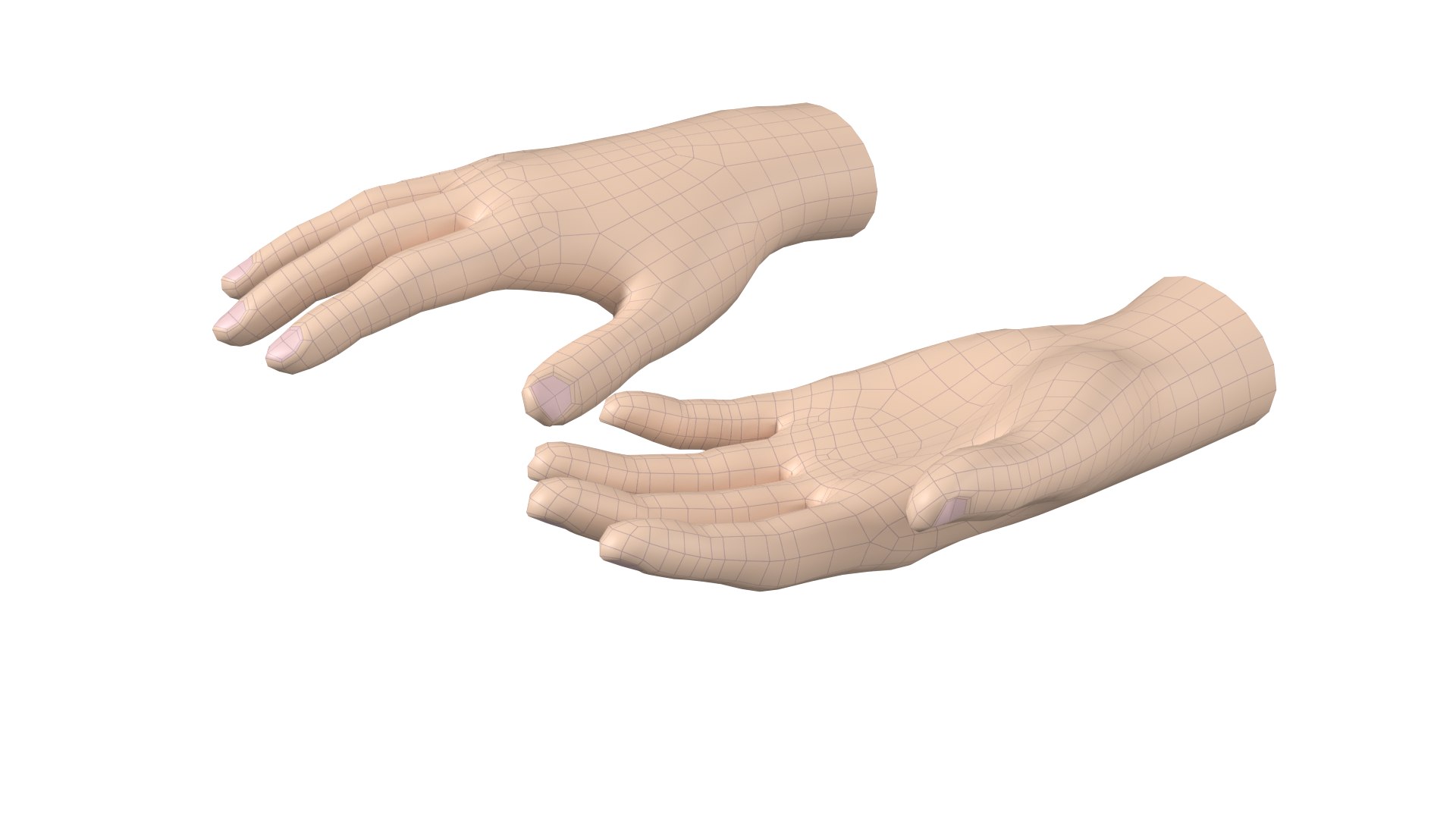 3D model Female Hand Base Mesh 03 https://p.turbosquid.com/ts-thumb/MX/jtkigY/lC/z04/png/1706375567/1920x1080/fit_q87/da01f0894f65cda4524bd04bd6ea6270c55e848b/z04.jpg