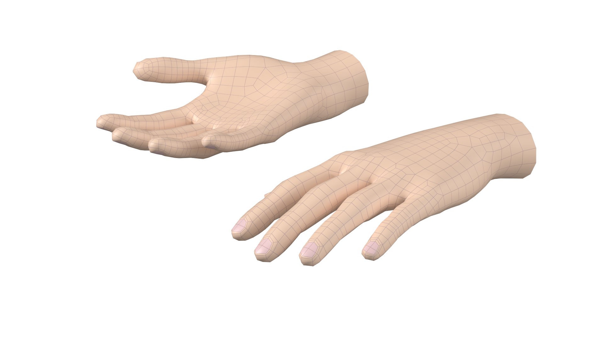 3D model Female Hand Base Mesh 03 https://p.turbosquid.com/ts-thumb/MX/jtkigY/wX/10/png/1706375571/1920x1080/fit_q87/bc4a282def11348e4349afaf1646f6d31b4168ac/10.jpg