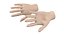 Female Hand Base Mesh 03