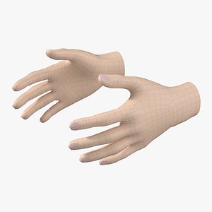 3D model Female Hand Base Mesh 03