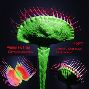 3D model Venus Fly-Trap Rigged