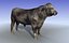 Black Bull 3d model