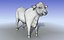 Black Bull 3d model