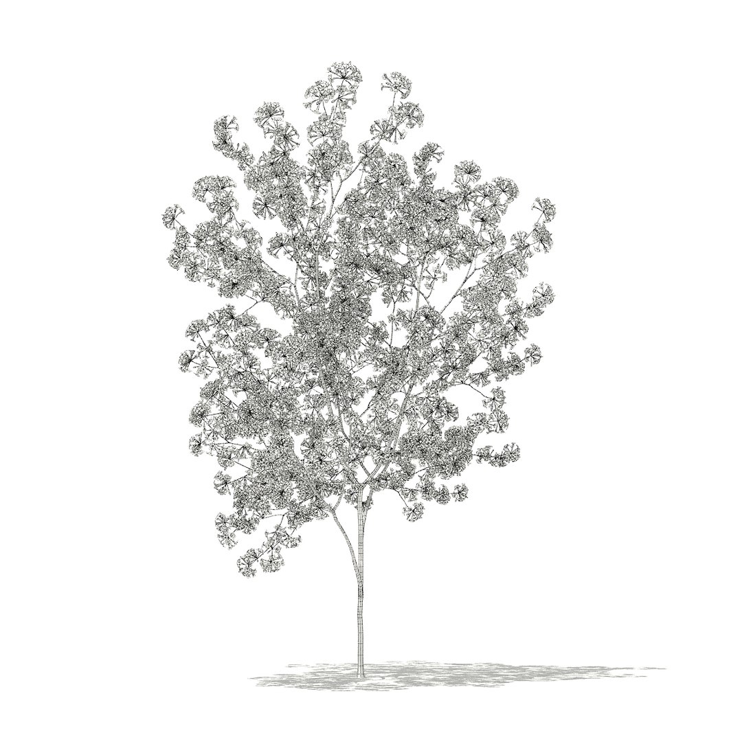 3D model volume 76 trees x https://p.turbosquid.com/ts-thumb/MY/6aVxwr/FQGMp0Kl/cgaxis_models_76_06agrid/jpg/1499713161/1920x1080/fit_q87/cf192207283289c4a55da205b418e76e1091c666/cgaxis_models_76_06agrid.jpg