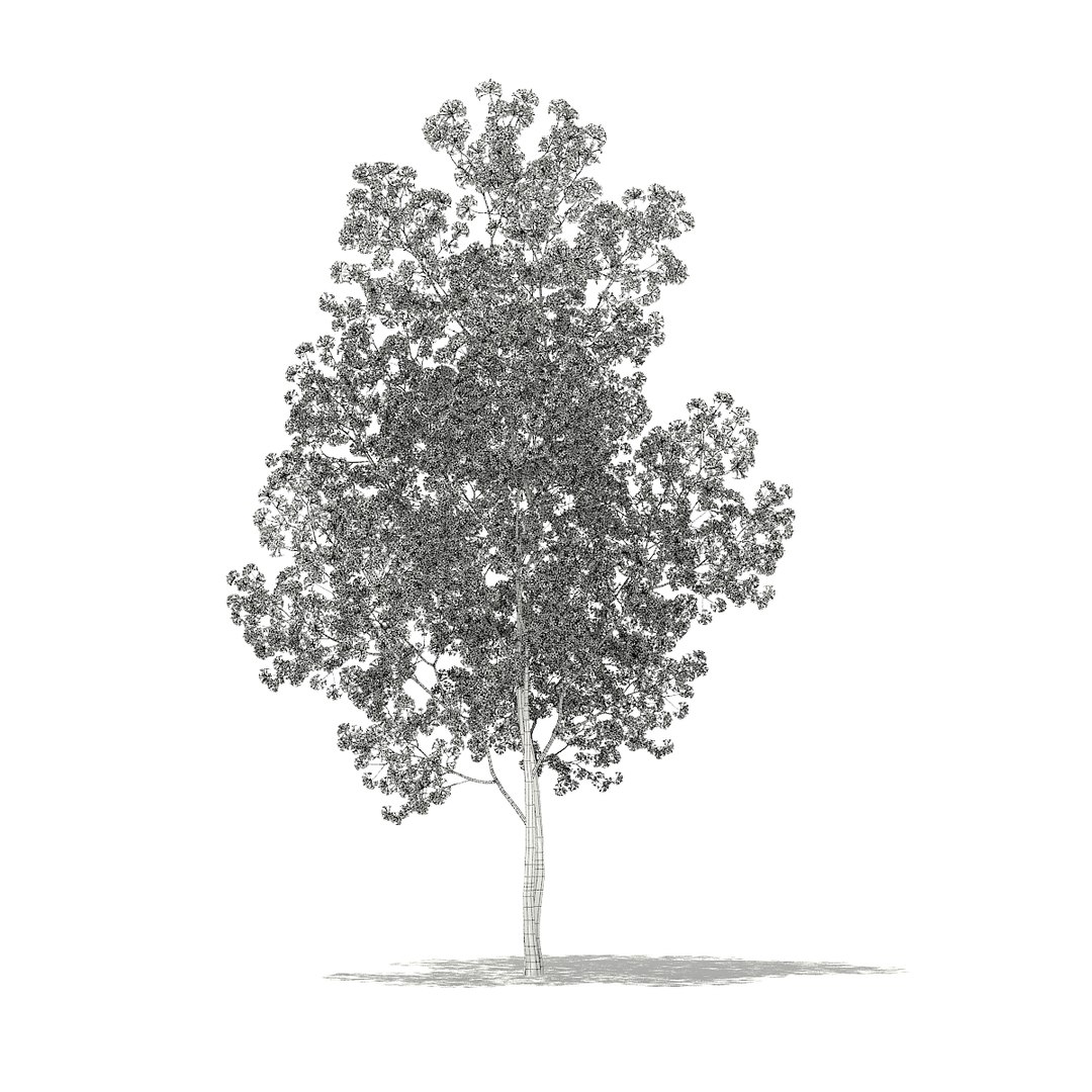3D model volume 76 trees x https://p.turbosquid.com/ts-thumb/MY/6aVxwr/Yi85CPvf/cgaxis_models_76_10agrid/jpg/1499713162/1920x1080/fit_q87/c1040915681e942dfb689bc68416ece60bc0e62f/cgaxis_models_76_10agrid.jpg