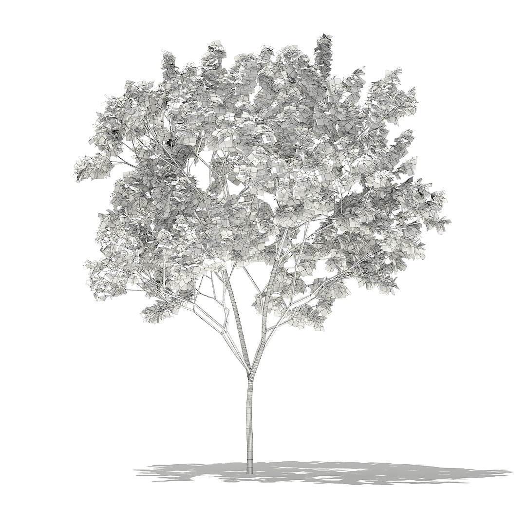 3D model volume 76 trees x https://p.turbosquid.com/ts-thumb/MY/6aVxwr/e2PZMXzl/cgaxis_models_76_22agrid/jpg/1499713163/1920x1080/fit_q87/c4e4e8243847aae8f7b77713dc11d10035304a4a/cgaxis_models_76_22agrid.jpg