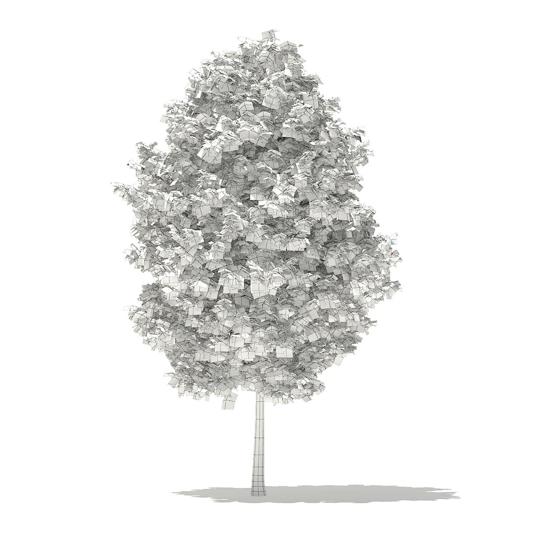 3D model volume 76 trees x https://p.turbosquid.com/ts-thumb/MY/6aVxwr/qWe9kkd2/cgaxis_models_76_29agrid/jpg/1499713163/1920x1080/fit_q87/e048ae87851c005c537f76c54b5f9de19786b8c9/cgaxis_models_76_29agrid.jpg
